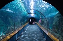 Barcelona Hop On Hop Off Bus Tour With Aquarium Admission