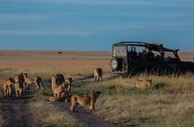 Explore Akagera National Park with Private Guided Tour