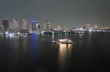 Tokyo Bay Cruise Adventure with options
