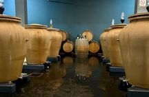 Full Day Boutique Winery and Wine Tasting Tour from Fez to Meknes