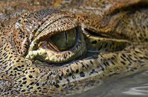 2 days Animal Lovers Combo : Palo Verde & Sloth Discovery Tour