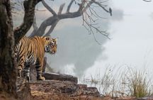 Ranthambore Private Jeep Safari Tour