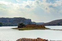 Ranthambore Private Jeep Safari Tour