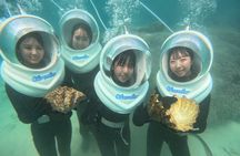 Underwater SeaWalker Experience Ishigaki Island 