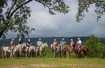 5 Tours in 1 – The Ultimate Volcano Adventure!