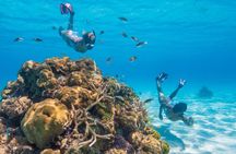 Bluequest Coral Reef Restoration & Snorkeling Tour!