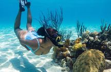 Bluequest Coral Reef Restoration & Snorkeling Tour!
