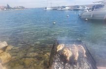 Full Day Sailing Tour
