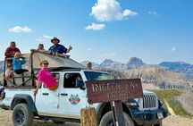  Telluride Half Day Jeep Tours