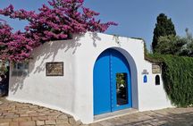 Kings Service: Private VIP Tunis,Carthage and Sidi Bousaid Tour