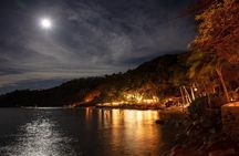 Night Rhythms Show, Dinner Buffet, Boat Trip and Open Bar