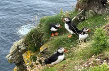 Shetland South Mainland Tour St Ninian Isle and Jarlshof