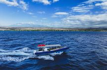 Mauna Kea One Stop Sealife Snorkel Sail