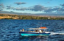 Mauna Kea 3hr Two Stop Sealife Snorkel Adventure
