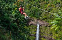 Hilo Waterfall Zipline near Akaka Fall w/ Hilo Cruise Ship Pickup