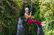 Hilo Waterfall Zipline near Akaka Fall w/ Hilo Cruise Ship Pickup
