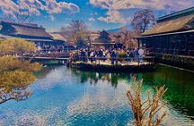 Private Mount Fuji Tour from Tokyo with VIP Car and English Guide