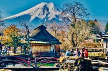Private Mount Fuji Tour from Tokyo with VIP Car and English Guide