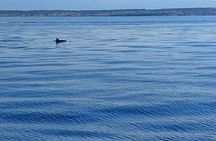 Private Sailing Day Tour