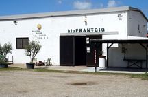 Cagliari Olive Oil Museum: Tours & Tasting a Dolianova