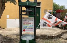 Cagliari Olive Oil Museum: Tours & Tasting a Dolianova