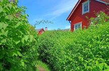 Private Oslofjord Island Hopping Tour