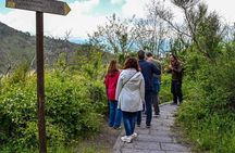 Pompeii & Mt. Vesuvius Elite Tour & Lunch From Naples