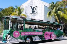 Miami Bus Tours: Flamingo Open-Air Trolley Sightseeing City Tour