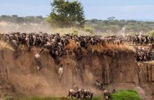 7 Days Safari Masai Mara Nakuru Hells gate and Amboseli Parks