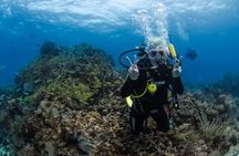 Open Water course Isla Mujeres