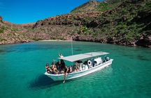 Espiritu Santo Island: Snorkel, Wildlife and Beach