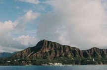 1 Hour Ocean Safari Wildlife Exploration in Waikiki