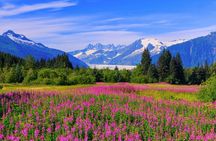 Craft Brews & Epic Views: Juneau's Brewery & Sightseeing Tour!
