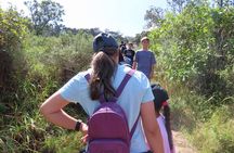 3 Day Kruger National Park Safari & Panorama Route - Private Tour