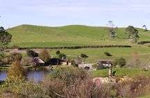Hobbiton and Waitomo Caves from Rotorua - Smaller Group
