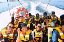 Full day Paracas Huacachina - Departures from Lima