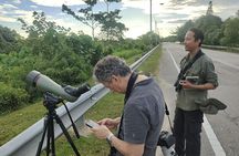 JungleWalla Full Day Penang Mainland Birdwatching