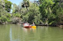 Kayaking Backwaters of New Smyrna Beach Ecotour/Birdwatching
