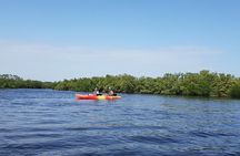 Kayaking Backwaters of New Smyrna Beach Ecotour/Birdwatching