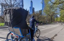 Central Park Pedicab Tour with Natural History Museum Access