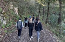 Chipinque Natural Park - Morning / Afternoon Hike (Group/Private)