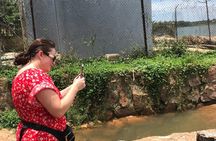 Ngamba Island Chimpanzee Experience and Lake Victoria Tour