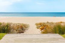 Mount Maunganui Beach Escape: Scenic Day Trip from Auckland