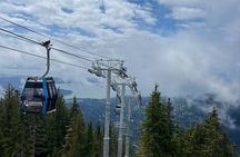 Capilano Br+Grouse Mtn+Dam+Lake+Hatchery/5in1CarTour+Small Group 