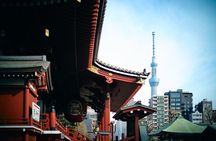 Vip | Tokyo Signature City Tour | Private Luxury Experience