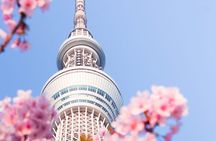 Vip | Tokyo Signature City Tour | Private Luxury Experience