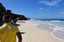 Boa Vista 4x4: Sharks, Turtles, Caves, Sandboard & Tasting tour