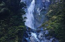 Castle Hill & Arthur Pass to Greymouth Day Trip from Christchurch