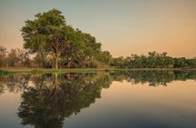 Camping Safari with Mokoro Rides and Game Drives