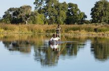 Camping Safari with Mokoro Rides and Game Drives